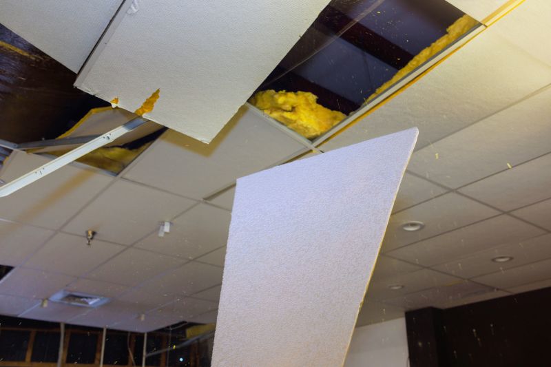Ceiling Demolition Service in Bergen County, NJ