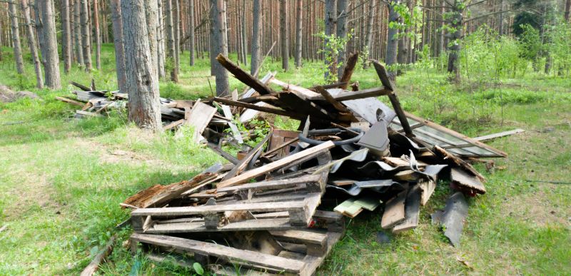 Debris Removal Service in Auburn, CA